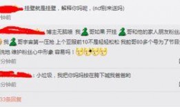 吃鸡爆料主播道歉视频,深度反思与诚挚道歉