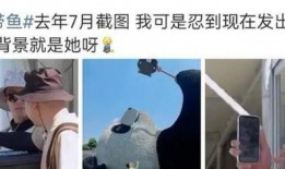 热巴机场爆料视频播放,爆料视频引网友热议