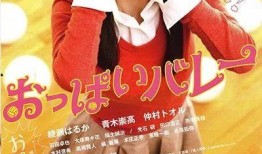 巨乳排球在线观看,激情四溢的排球盛宴