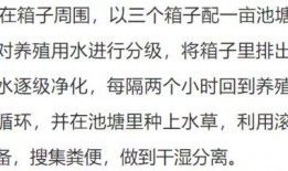 吃瓜系统说我全家皆大佬免费阅读,全家大佬风采尽显——免费阅读说我全家皆大佬