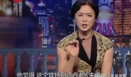 爆料金星的视频大全集播放,揭秘娱乐圈风云变幻的幕后故事