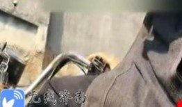 冤案视频爆料大全集,大全集深度剖析冤假错案真相