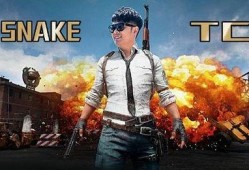 壮哥吃鸡爆料视频下载,揭秘游戏幕后精彩瞬间