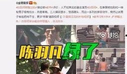 宋喆现状爆料了吗视频下载,爆料视频下载背后的惊人真相