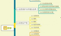 辩论爆料周瑜视频大全集,揭秘三国风云中的智勇双全英雄