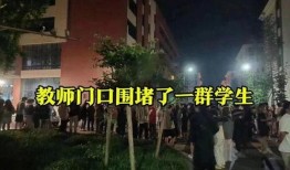 成都公园舆论爆料事件视频,视频揭露惊人真相