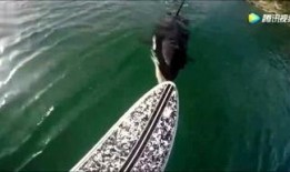 死水最新爆料新闻