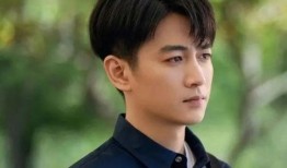 陈晓娱乐爆料,揭秘明星幕后故事