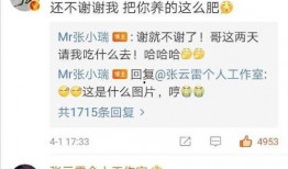 瓜哥吃货视频大全播放免费,免费畅享美食盛宴，尽享味蕾狂欢之旅