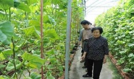 天津吃瓜最新事件爆料是真的吗