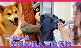 二狗爆料黑料视频,揭秘黑料视频背后的惊人真相