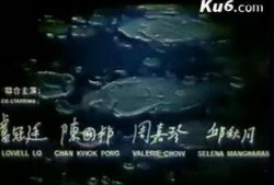蜘蛛女梁琤在线观看,网罗爱情与复仇的奇幻之旅