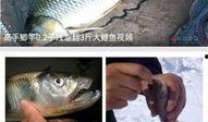 钓鱼爆料视频下载大全,揭秘钓鱼技巧与实战解析