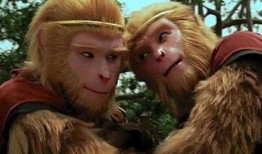 六儿猕猴爆料视频大全,揭秘幕后真相与趣味瞬间