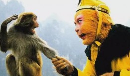 六儿猕猴爆料视频大全,揭秘幕后真相与趣味瞬间