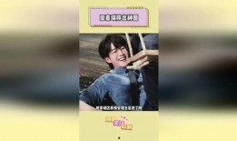 娱乐爆料田嘉瑞视频,娱乐爆料背后的故事揭秘