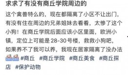 商丘学院爆料事件最新,揭秘校园内幕引发社会关注