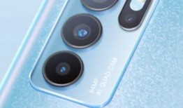 爆料留学男博主视频播放,揭秘留学生活背后的真实视频播放盛况