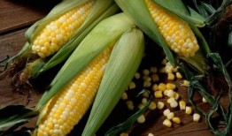 娱乐吃瓜酱玉米,揭秘娱乐圈那些鲜为人知的幕后故事