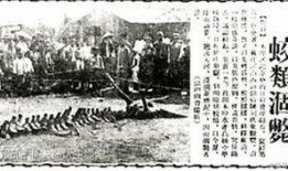 营口最新爆料事件,神秘事件引发社会热议