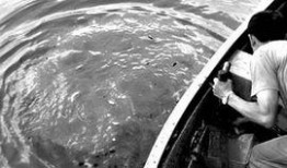 死水最新爆料新闻