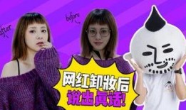 爆料大王揭秘网红视频,爆料大王深度剖析