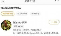 张小寒爆料李现视频事件,真相与争议并存