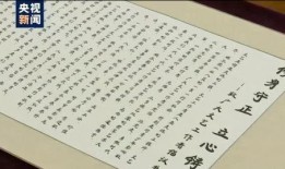 袁丽爆料赵薇视频大全,揭秘娱乐圈背后的秘密