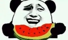 吃瓜群众瓜哥小说免费阅读