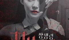 双生灵 在线观看,穿越时空的奇幻之旅