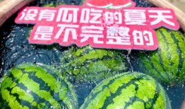 娱乐吃瓜场所有哪些,热门话题背后的真相与笑料