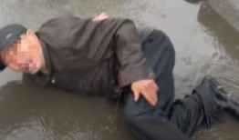 爆料留学男博主视频播放,揭秘留学生活背后的真实视频播放盛况