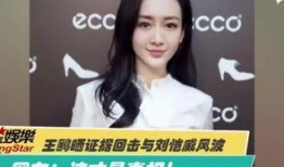 爆料视频剪辑方式,剪辑手法背后的真相