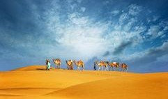 沙漠天空 在线观看