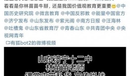 最新爆料事件歌曲大全,歌曲大全背后的故事与真相