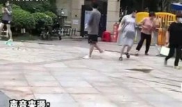 成都公园舆论爆料事件视频,视频揭露惊人真相
