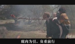 末日世界电影在线观看,生存之战，在线观看，共赴末世征程