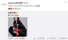 热巴机场爆料视频播放,爆料视频引网友热议