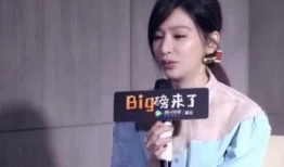 王心琳爆料黑料视频在线观看,揭秘娱乐圈不为人知的黑料内幕