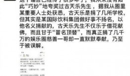 卓伟爆料捐赠事件视频,揭秘捐赠事件背后的真相与争议