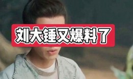 刘大锤最新爆料网红