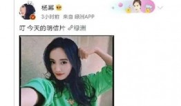 娱乐吃瓜酱商品id,独特商品ID背后的故事与魅力