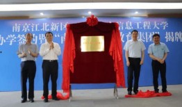 鲁山一高最新爆料消息,揭秘校园风云背后的真相