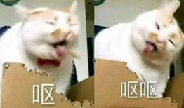 二狗爆料黑料视频,揭秘黑料视频背后的惊人真相