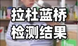 爆料大王揭秘网红视频,爆料大王深度剖析