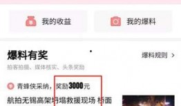 张家口今日头条爆料,揭秘神秘事件，真相令人震惊！