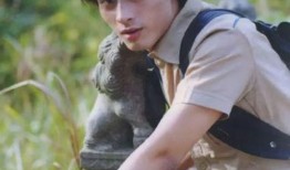 陈龙张龄之圈内爆料