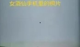 刘女士最新爆料,揭秘娱乐圈惊人内幕！