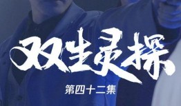 双生灵 在线观看,穿越时空的奇幻之旅