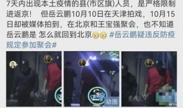 爆料大瓜被抓视频大全集,大瓜被抓视频大全集深度解析